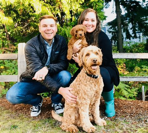 Kerry's Labradoodles of Seattle