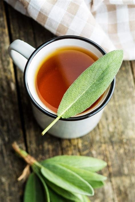 Fresh Sage Herbal Tea {Hot or Iced} - The Peasant's Daughter