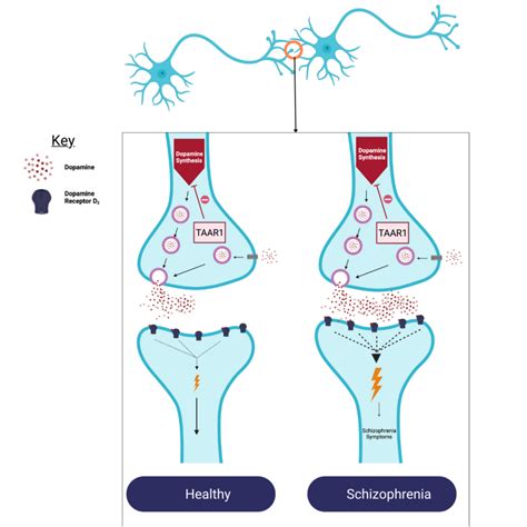 A rundown of TAAR1 as a potential drug target for schizophrenia