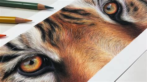 HowTo Draw a Realistic Tiger Eye Study with Colored Pencil - YouTube