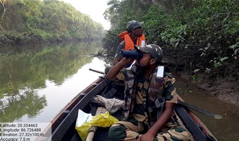 First-ever census finds 179 mangrove pitta birds in two coastal Odisha ...