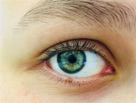 How rare are blue green eyes? - Quora
