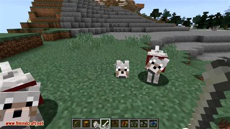 Wolf Armor & Storage Mod (1.12.2, 1.11.2) - Minor Tweaks for Wolves - 9Minecraft.Net