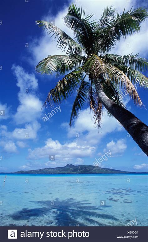 Tubuai High Resolution Stock Photography and Images - Alamy