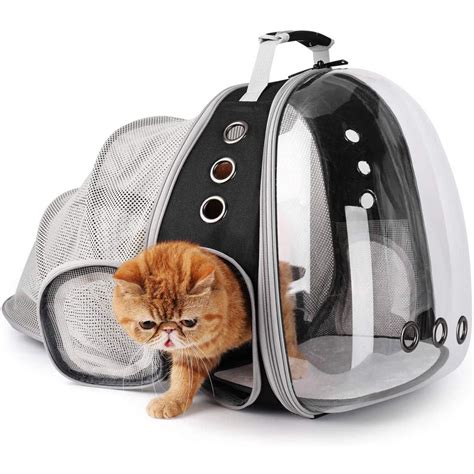 Top 10 Best Cat Backpack Carriers in 2023 Reviews | Buyer's Guide