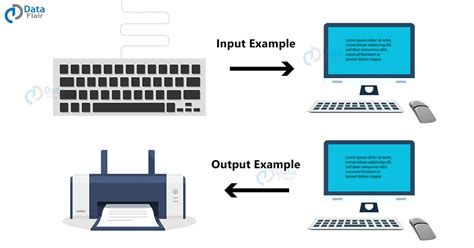 Computer Input And Output Devices / Computer Basics What Is An Output Device 10 Examples ...