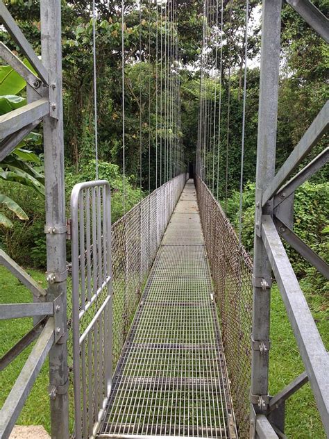 Arenal Hanging Bridges » Traveling Bytes