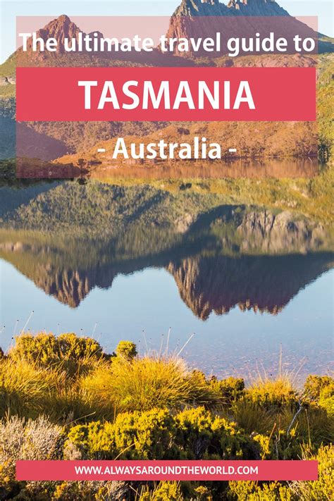 Tasmania Travel Guide: The Ultimate Guide for First-Timers | Tasmania travel, Australia travel ...