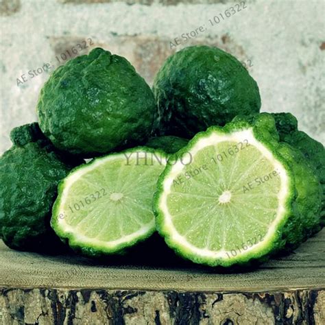 Lime Seeds 50Pcs - Best Seeds Online | Free Shipping Worldwide ...