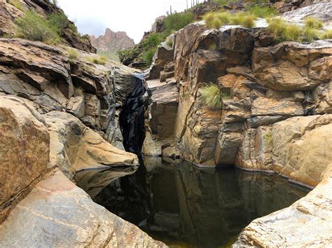 Tours of Sabino Canyon