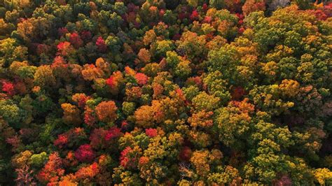 Kentucky has 3 of the most scenic fall foliage routes in US | Lexington Herald Leader