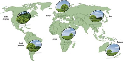 The Home Depot | Responsibility and Sustainability - Products