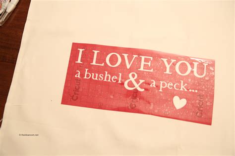 Bushel and A Peck Pillow - The Idea Room