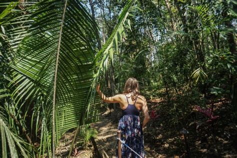 6 of the Most Incredible Eco Lodges in Belize (For All Budgets ...