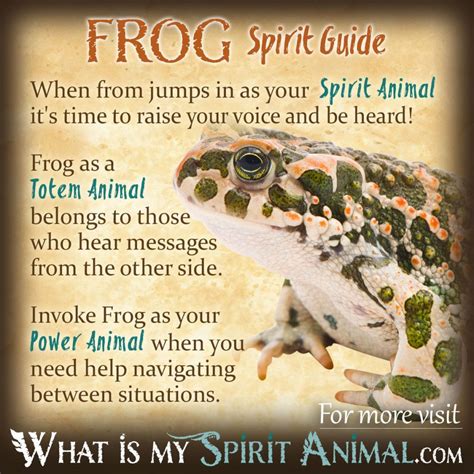 Frog Symbolism & Meaning | Spirit, Totem, & Power Animal