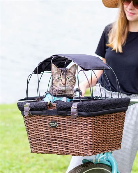 Bike Basket for Cat Cat Basket for Bike Wicker Basket Bike Accessory Basket for Bike for Men ...