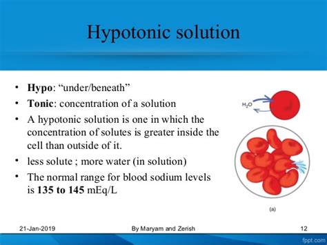 What Is A Hypotonic Definition And Hypotonic Solution? Best Examples Listed - Get Education Bee