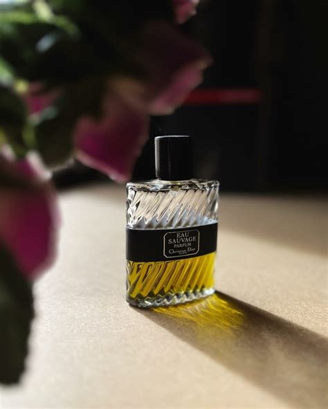 How to Apply Cologne: 6 Steps and Mistakes 2024 | FashionBeans