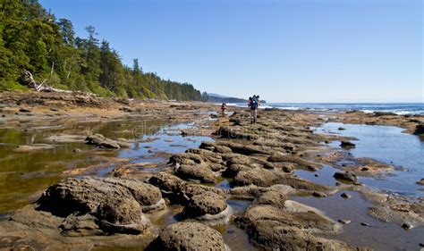 Hiking the West Coast Trail Stock Image - Image of nature, green: 22669475