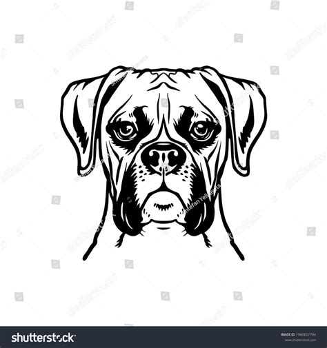 2,114 imágenes de Boxer dog logo - Imágenes, fotos y vectores de stock | Shutterstock