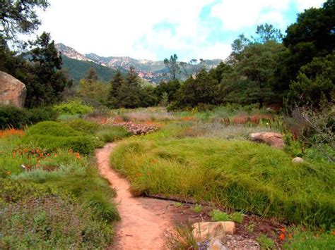 Santa Barbara Botanic Garden | park, interesting place, botanical garden, plant nursery ...