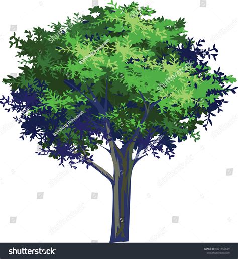 Tree Illustration Anime Background Style Isolated Stock Vector (Royalty Free) 1801457629 ...