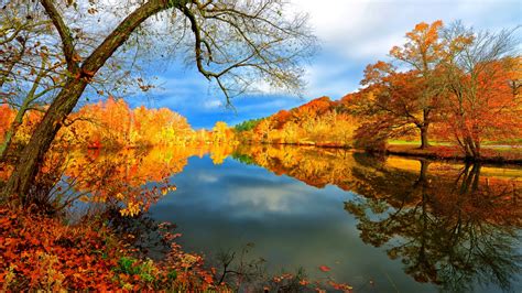 Lac en automne - Fond d'écran Ultra HD