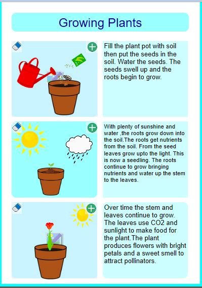 Purple Mash example 2 – St Mary's Catholic Primary School