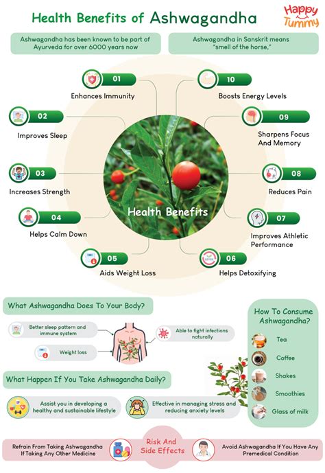 Top 10 Health Benefits Of Ashwagandha: Uses, And Side Effects - Happytummy