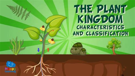 Kingdom Plantae Examples Scientific Name