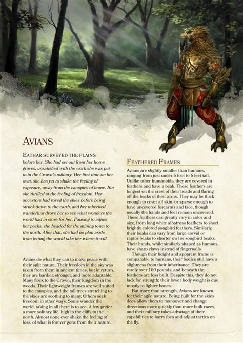 Fantasy Dnd Homebrew Races - img-Abiel