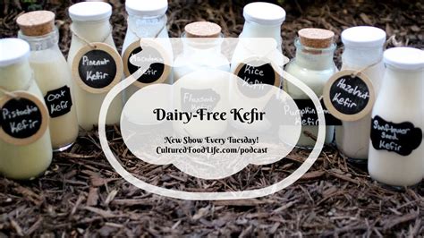 Podcast Episode 95: Dairy Free Kefir - YouTube