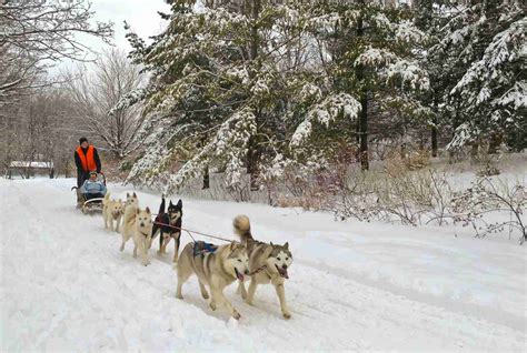 Montreal Winter Sports Activities