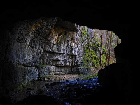 100+ Free Forest Cave & Cave Images - Pixabay