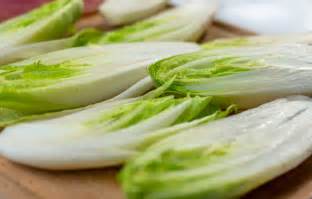 Chicory Lettuce Health Benefits & Uses - Joyful Belly School of Ayurveda