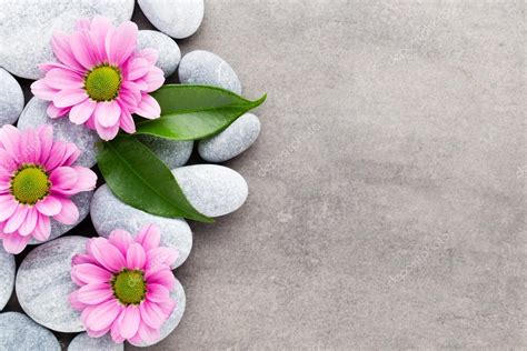 Spa stones and flowers on grey background. — Stock Photo © gitusik #114510644