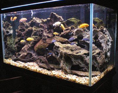 How to set up and aquascape a Cichlid habitat | African cichlid aquarium, Cichlid aquarium ...