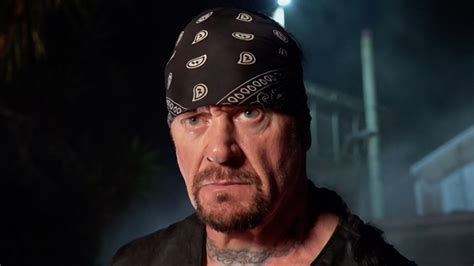 The Undertaker Shares His Thoughts On Bron Breakker, Shawn Michaels ...