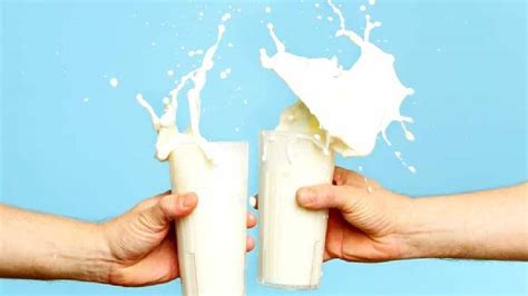 milk | What type of milk should you drink for more health benefits, hot ...