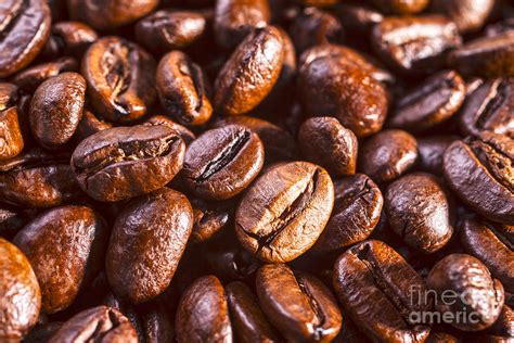 Coffee Beans Close-up Photograph by Colin and Linda McKie - Pixels