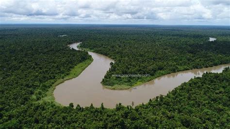 Sungai Mahakam Terbesar di Kalimantan Timur | Pesona Indonesia