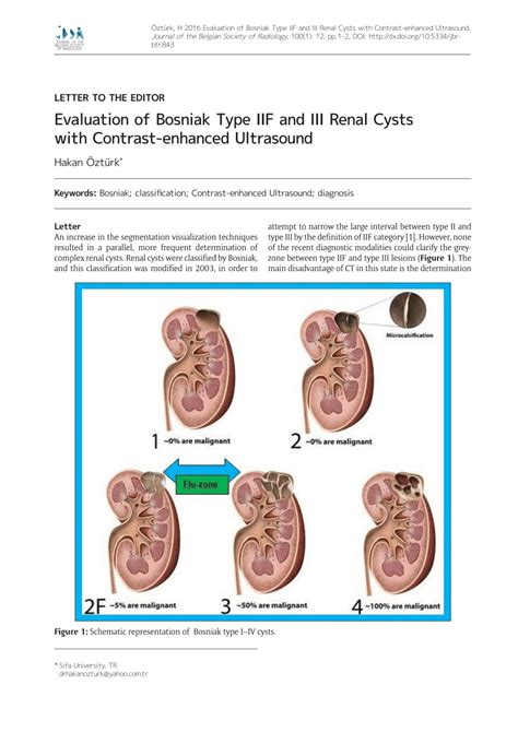 (PDF) Evaluation of Bosniak Type IIF and III Renal Cysts with Contrast-enhanced Ultrasound