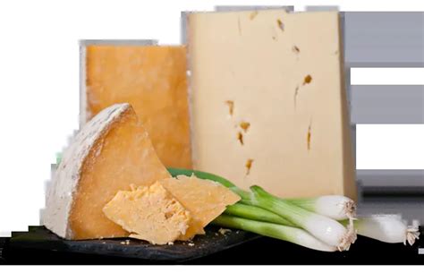 Gourmet Cheese of the Month Club - Cheese Subscription Box Clubs