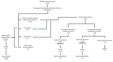 Study population flowchart. CNS: Central Nervous System. | Download Scientific Diagram