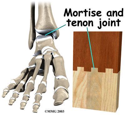 mortise | Mortising, Mortise and tenon, Ankle anatomy