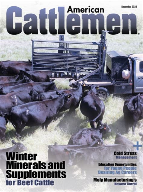 American Cattlemen Magazine - American Cattlemen