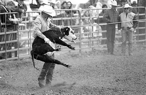 Rodeo - Calf Roping | Calf roping, Calves, Horses