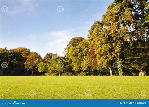 Autumn trees in the park stock image. Image of scenery - 15716107