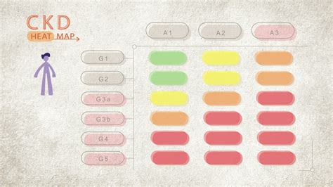 Kidney Disease Stages | CKD Heat Map | NKF - YouTube