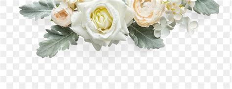 White rose flowers design element | free image by rawpixel.com / Gade | White flower png, Rose ...